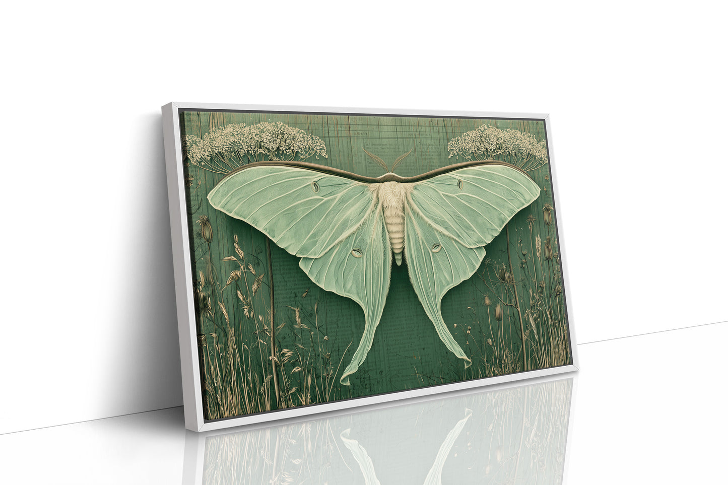 Luna Moth Ephemera