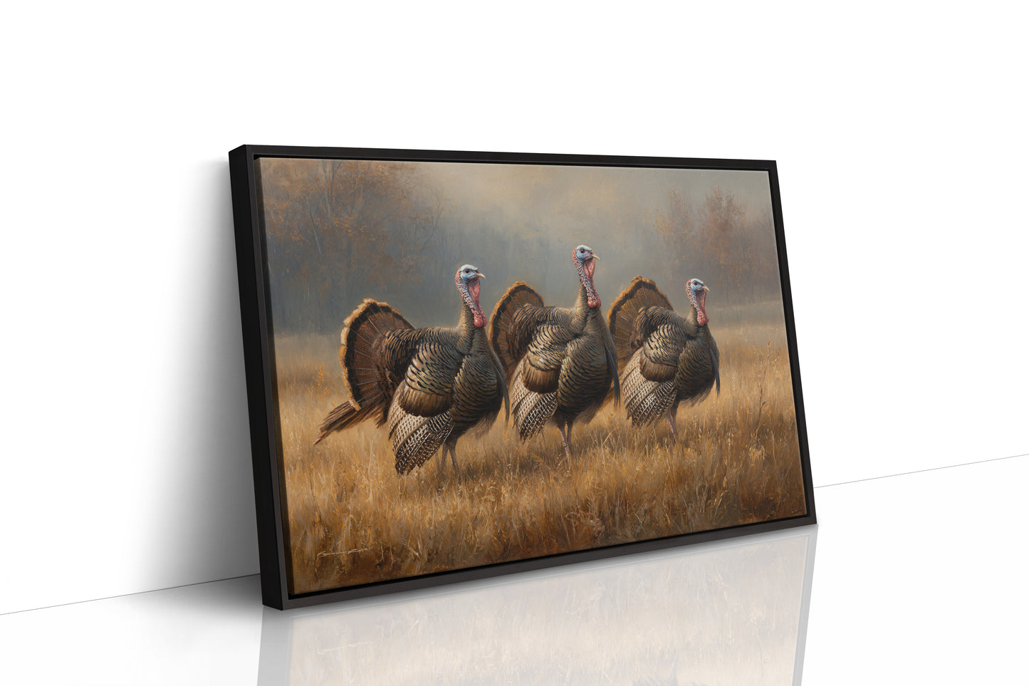 Wild Turkeys March Through Golden Fields