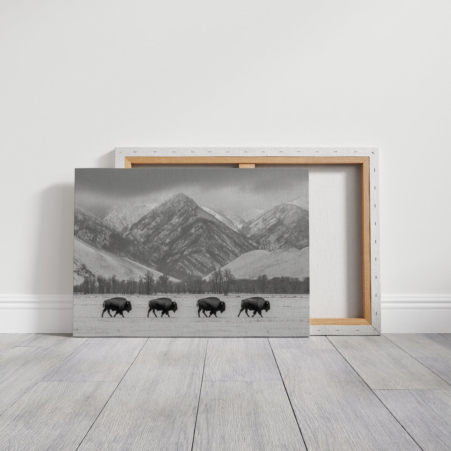 Where the Buffalo Roam