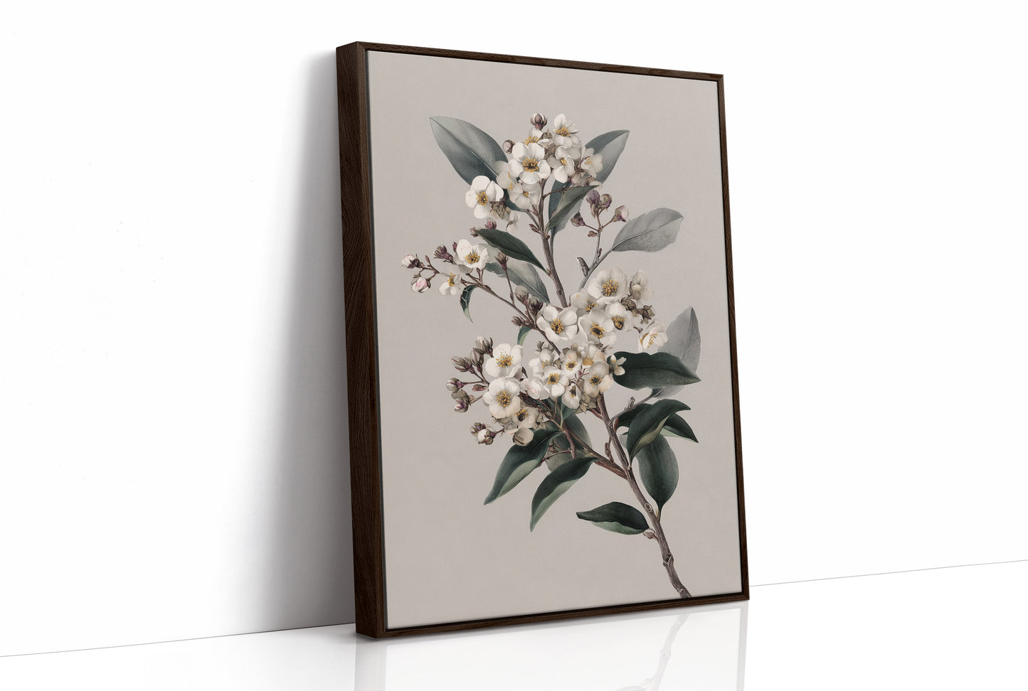 Ivory Blossoms On Quiet Branch