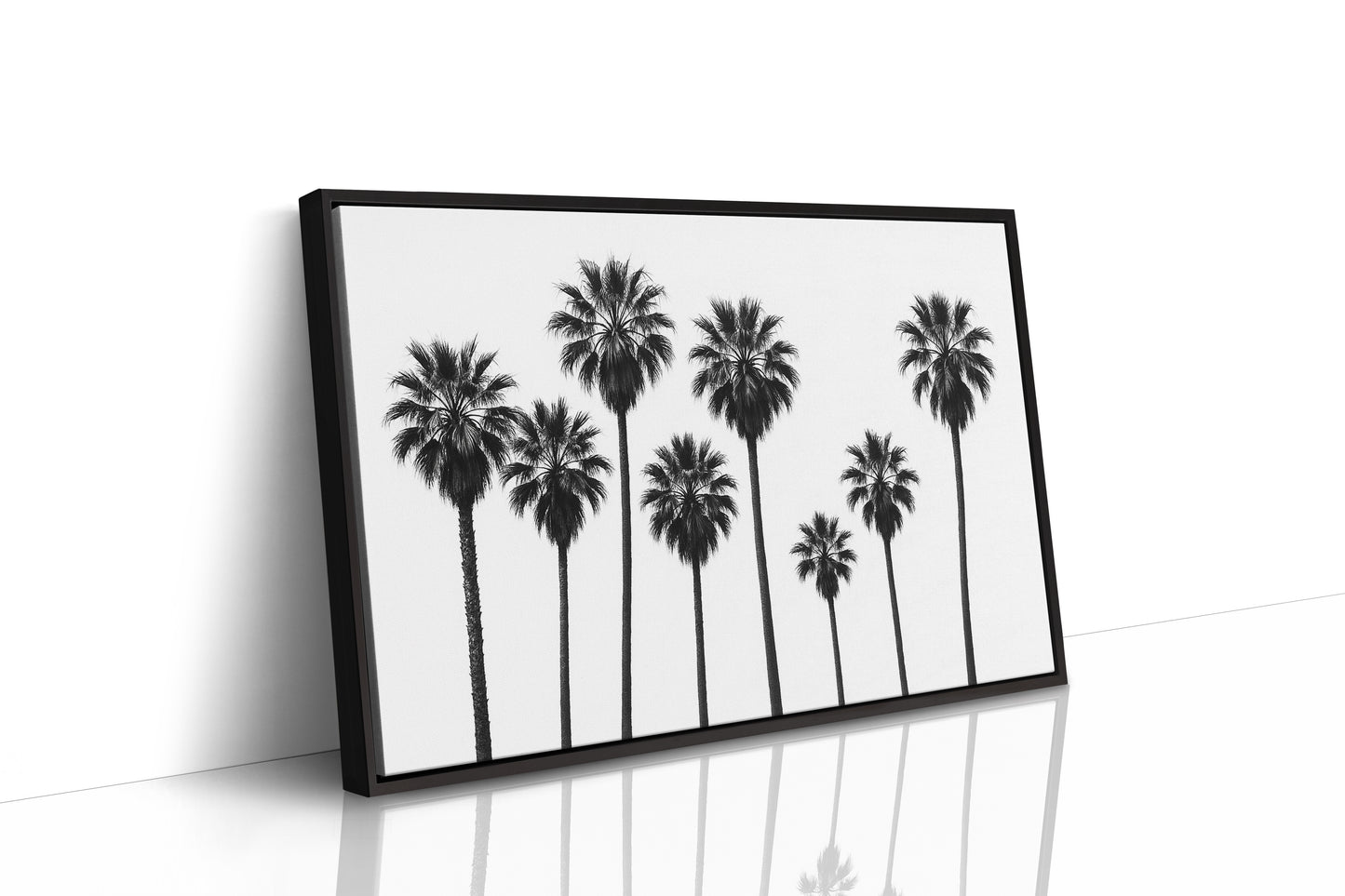 Seven Palms in Perfect Rhythm