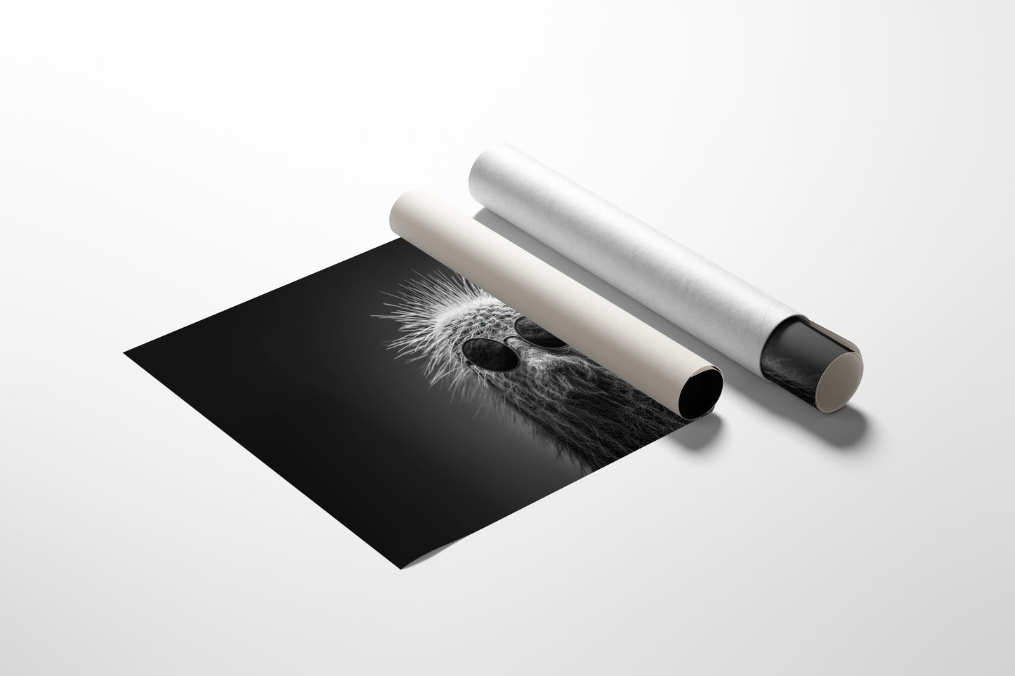 Too Cool for Prickles