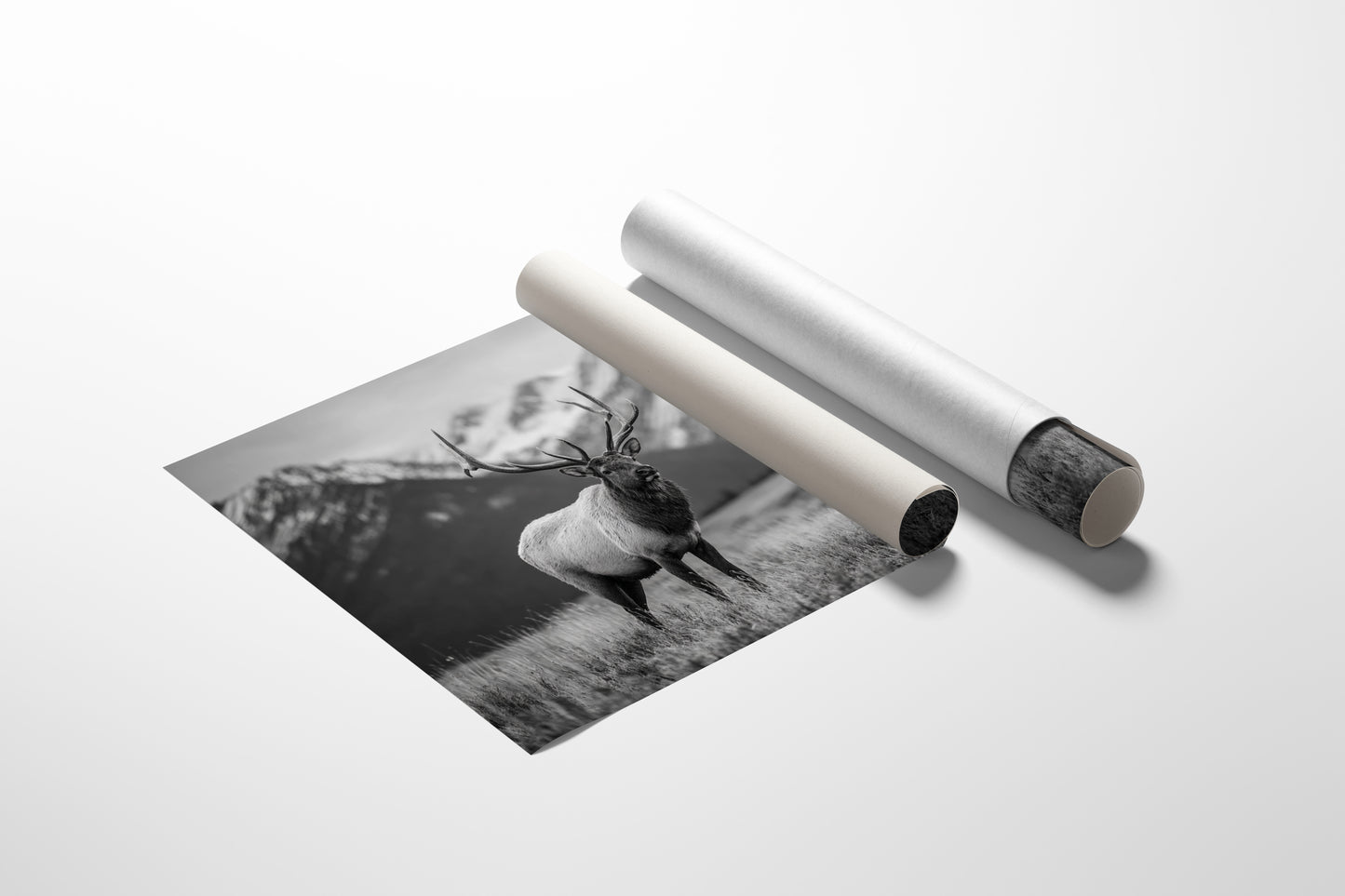 Crown of the Wilderness