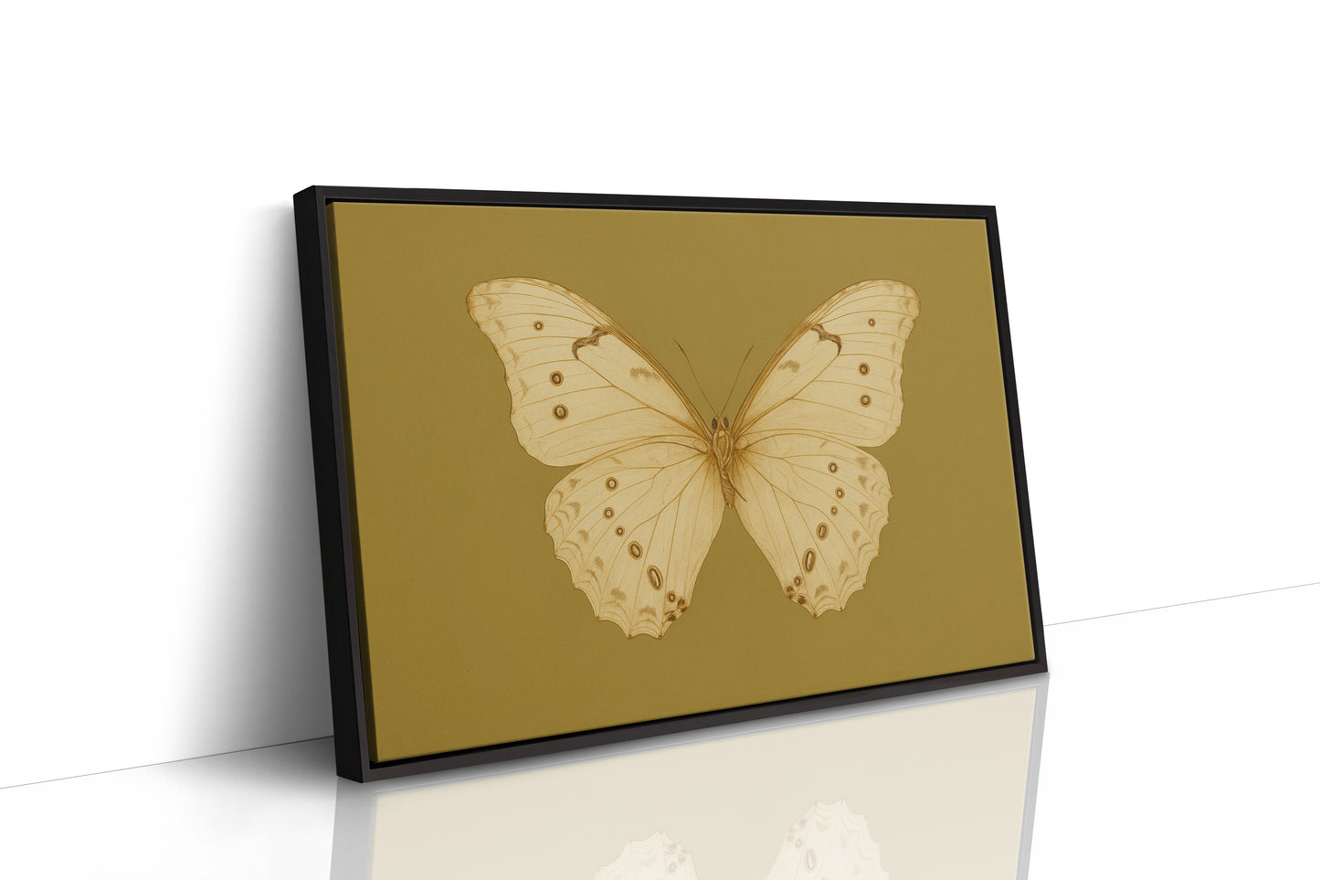 Golden Ivory Butterfly Study