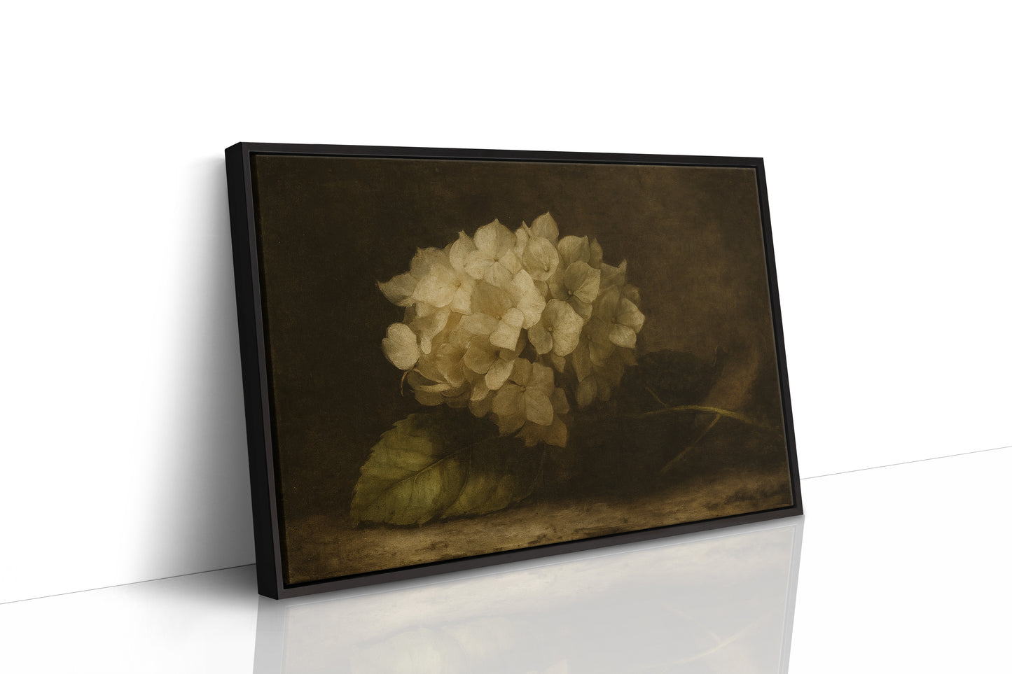 Faded Elegance Hydrangea