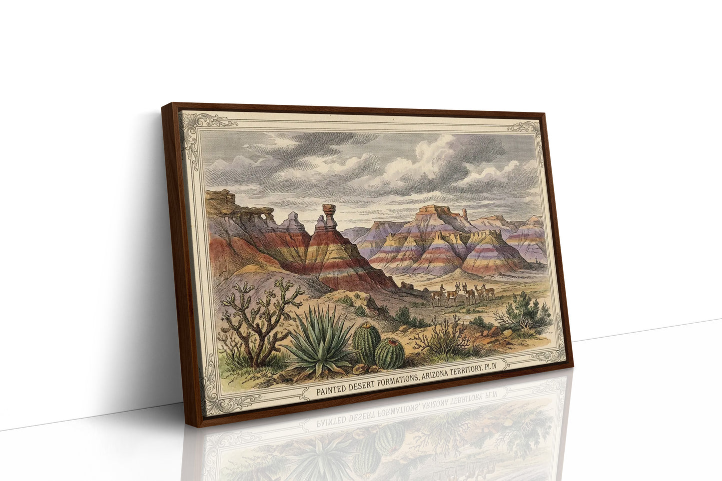 Painted Desert, Plate IV