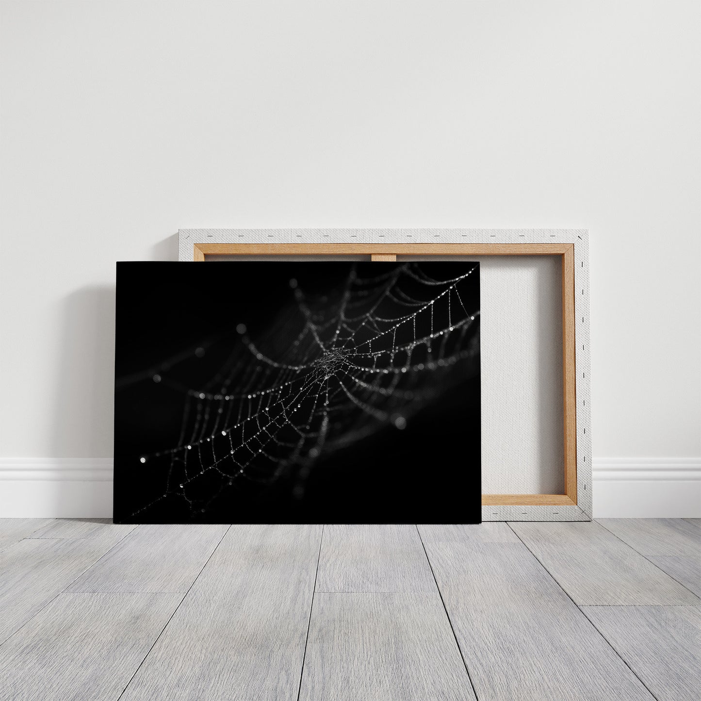 Dew Caught In Midnight Threads