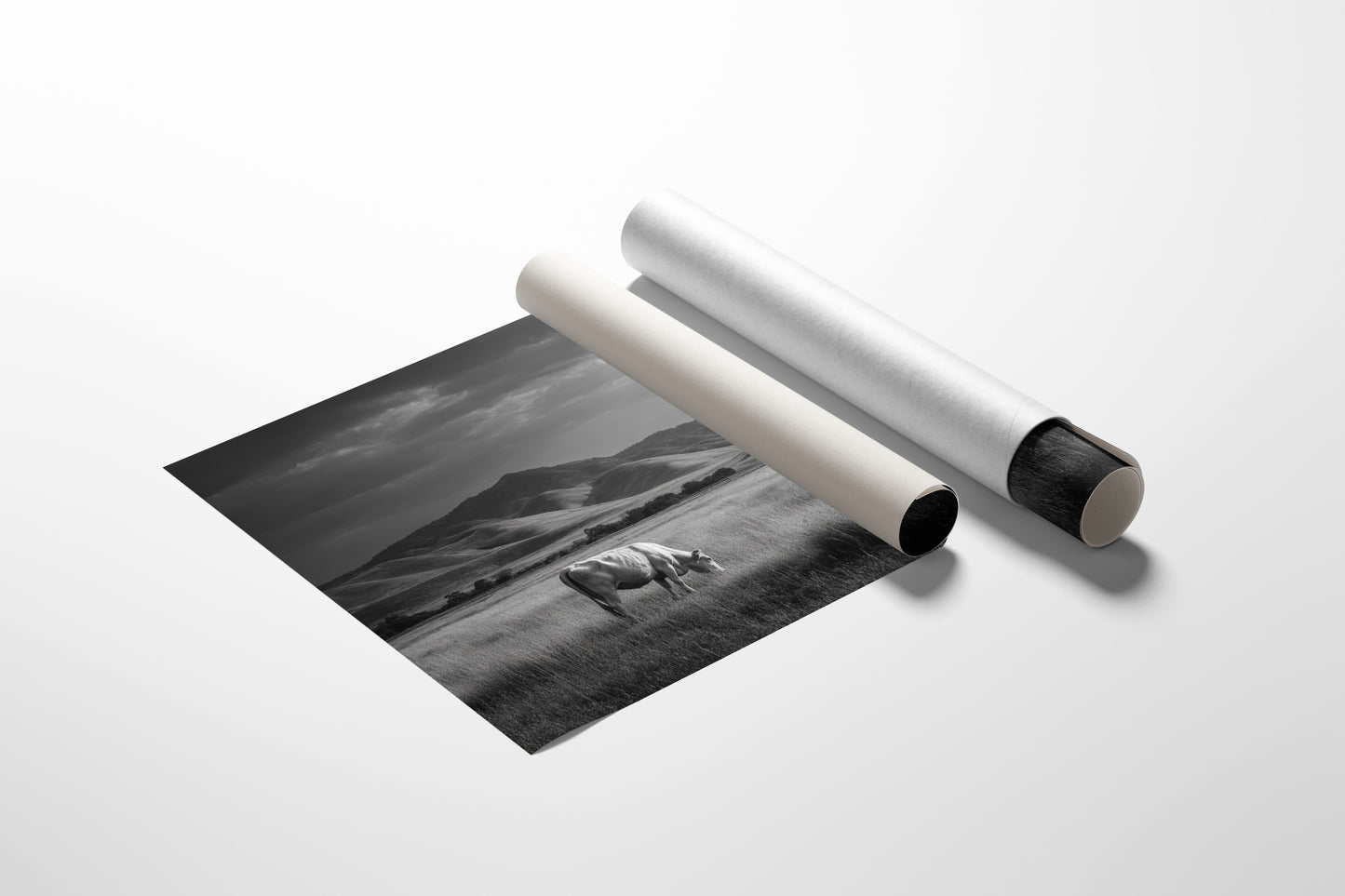 Solitude in the Valley of Dreams