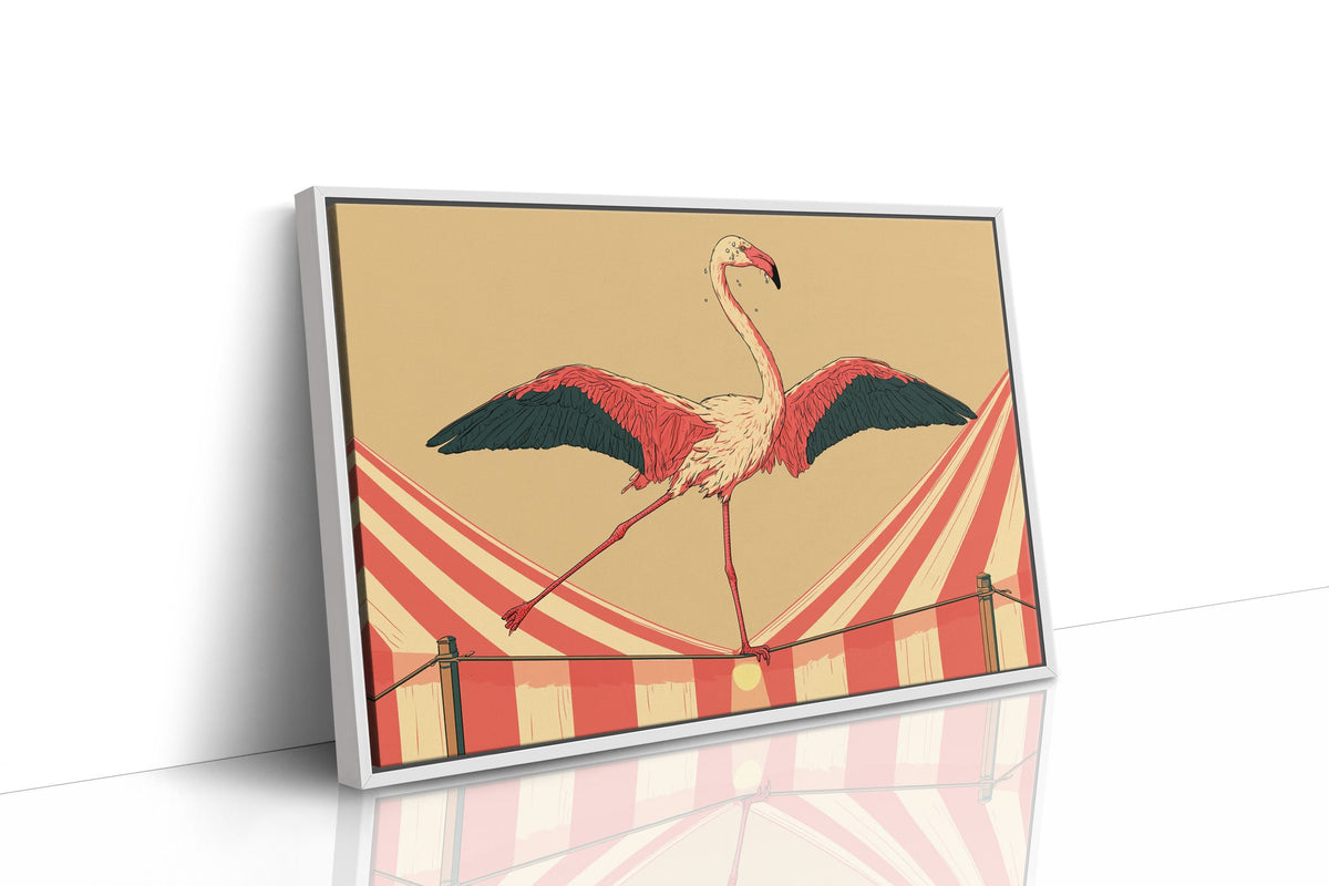 Flamingo Tightrope Circus Act