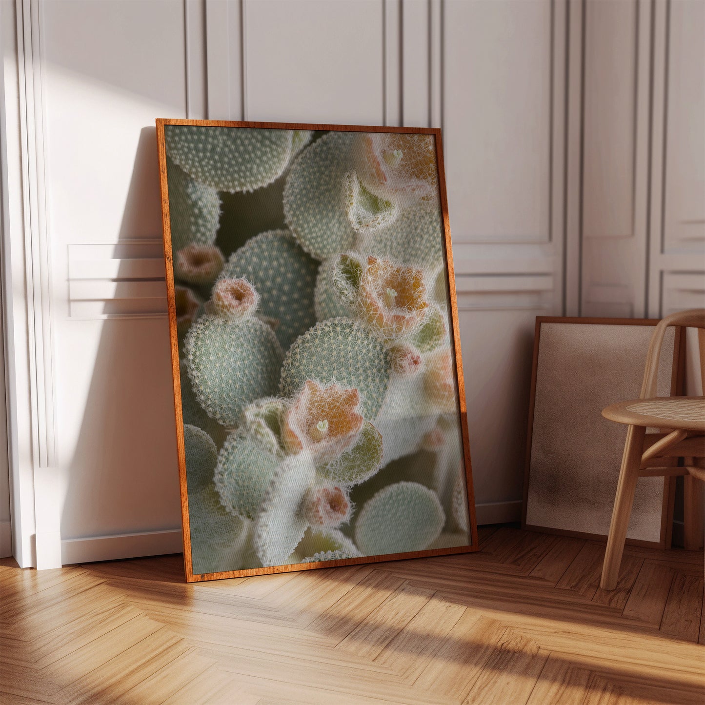 Soft Bloom on Fuzzy Desert Cactus