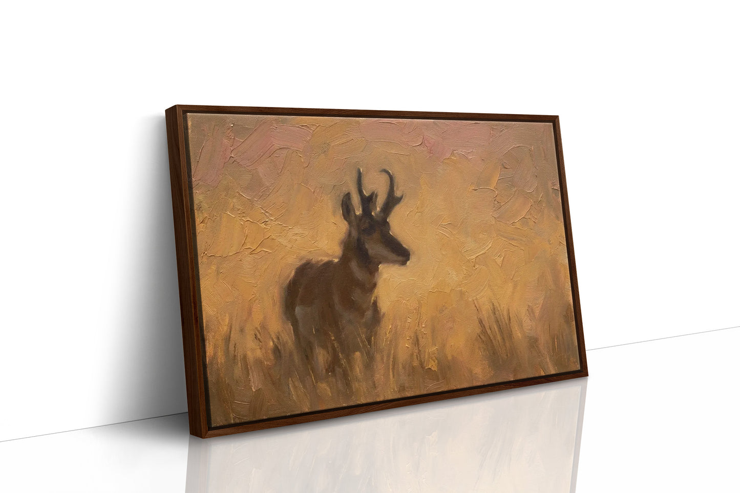 Pronghorn in Golden Grass