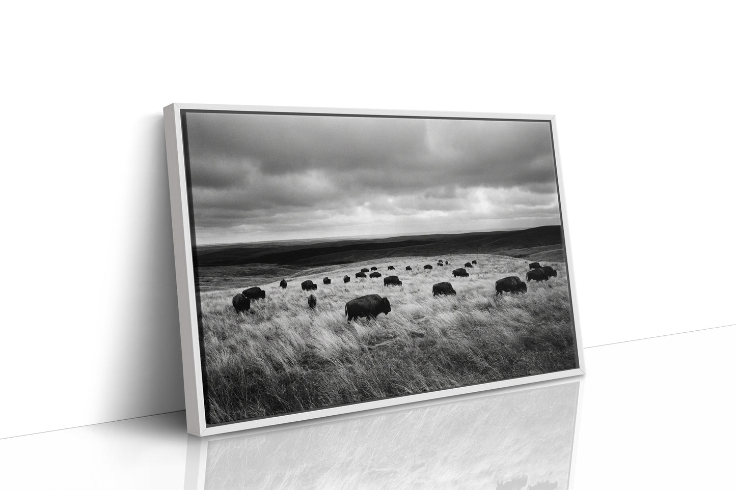 The Prairie Remembers Their Weight