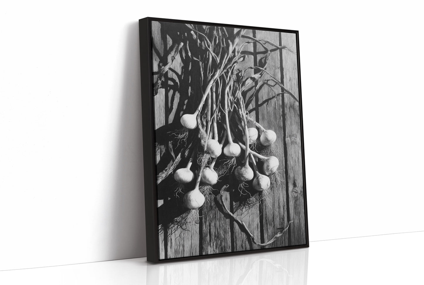 Garlic Hanging In Shadow