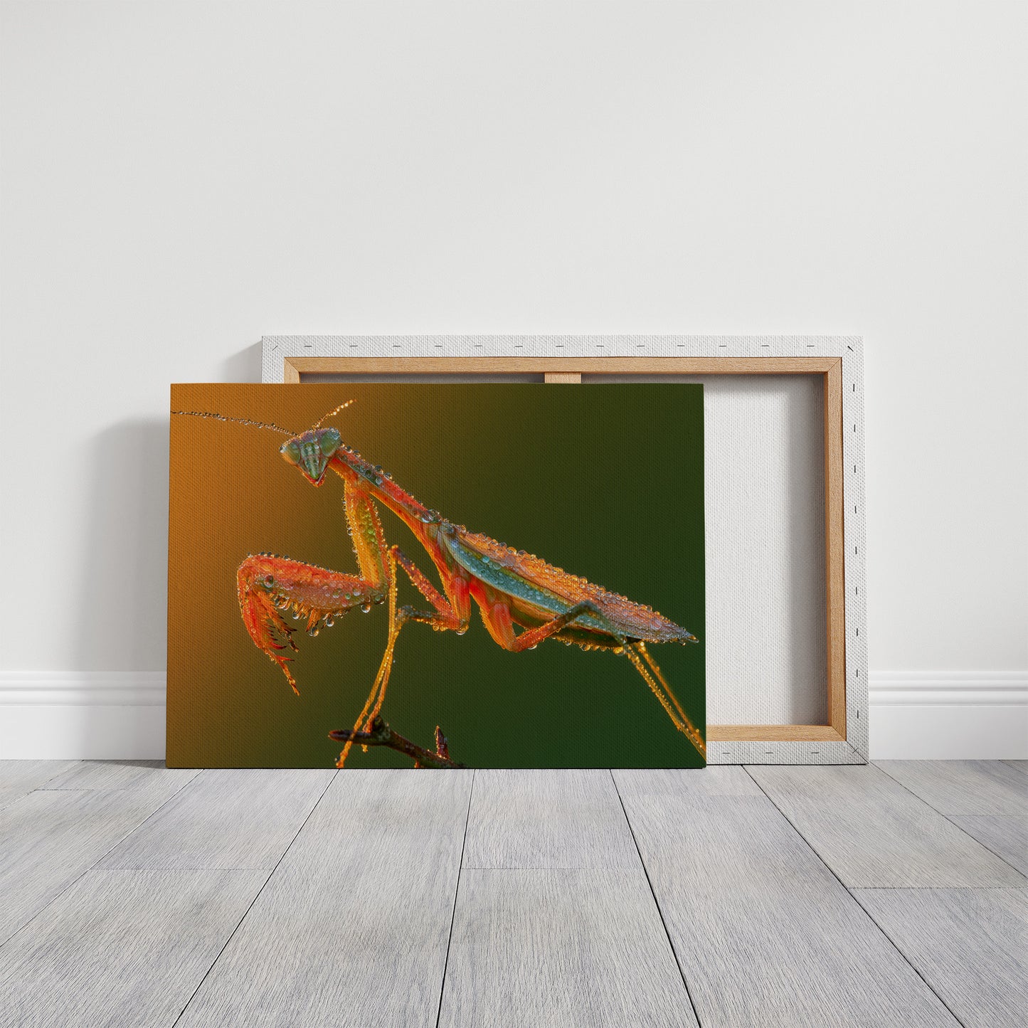 Dew-Kissed Mantis at Dawn