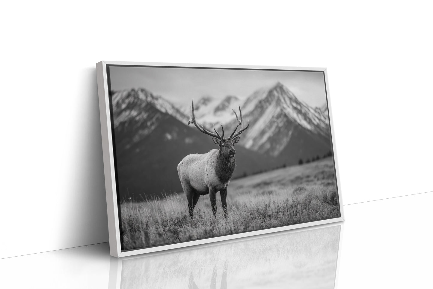 Crown of the Wilderness