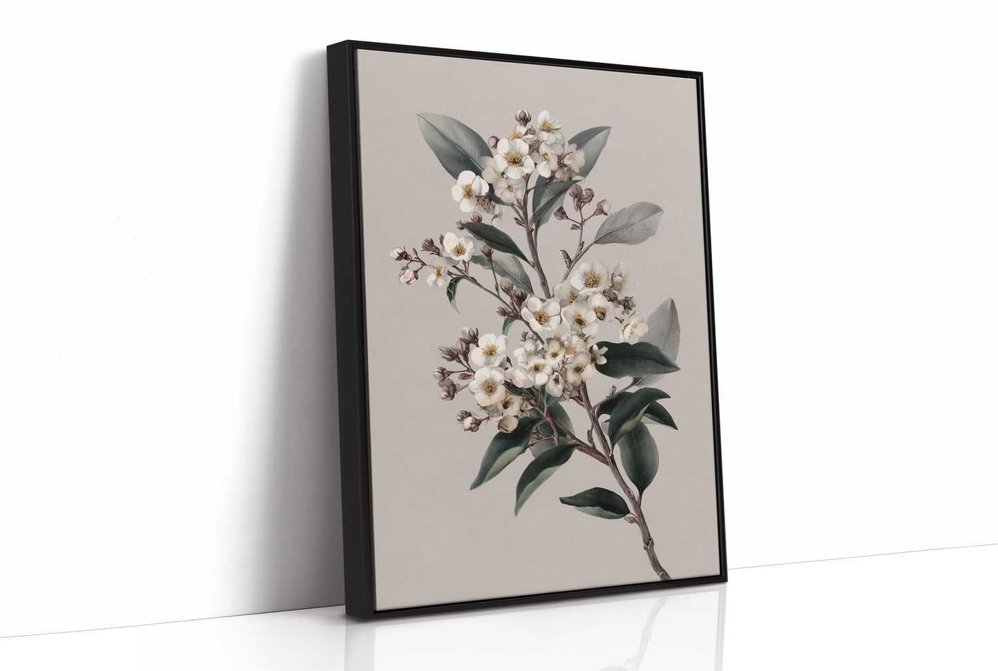 Ivory Blossoms On Quiet Branch