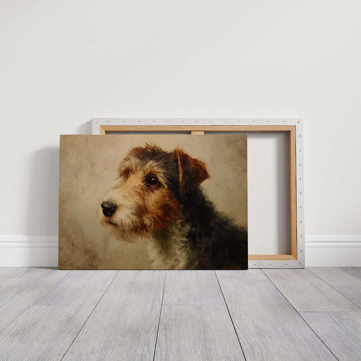 Faithful Eyes Hold Ancient Stories