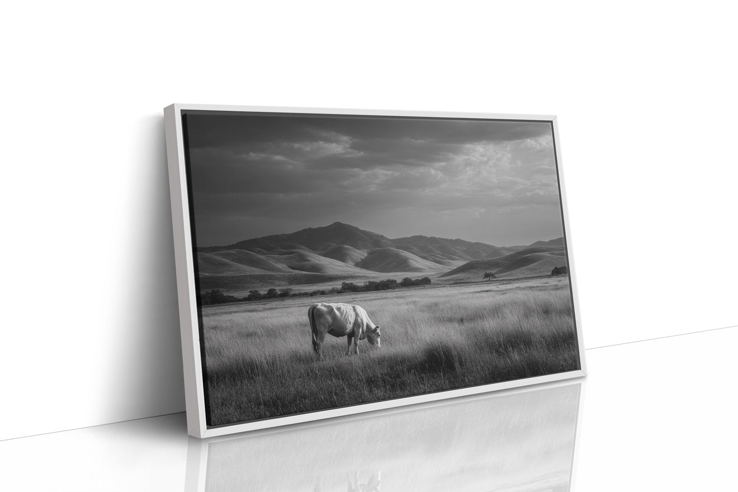 Solitude in the Valley of Dreams