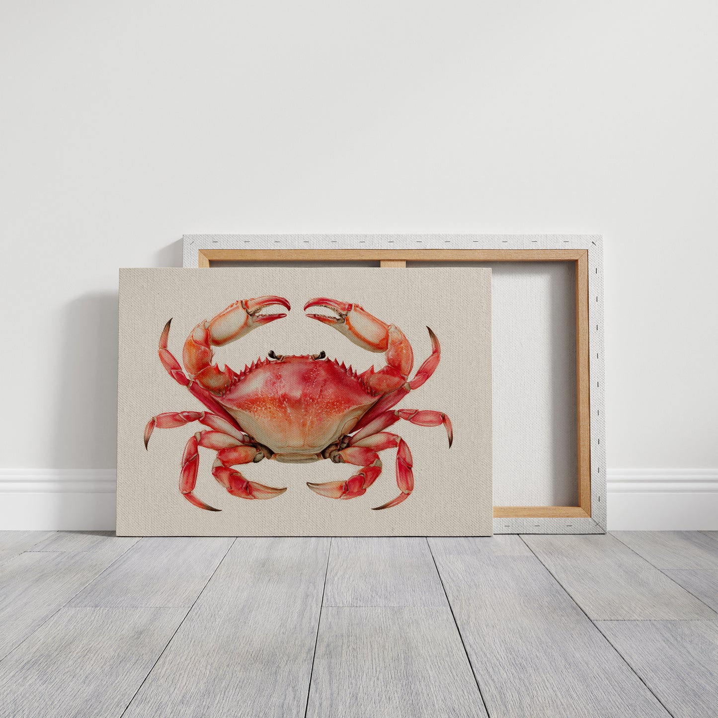 Coral Claws Catch Summer Light