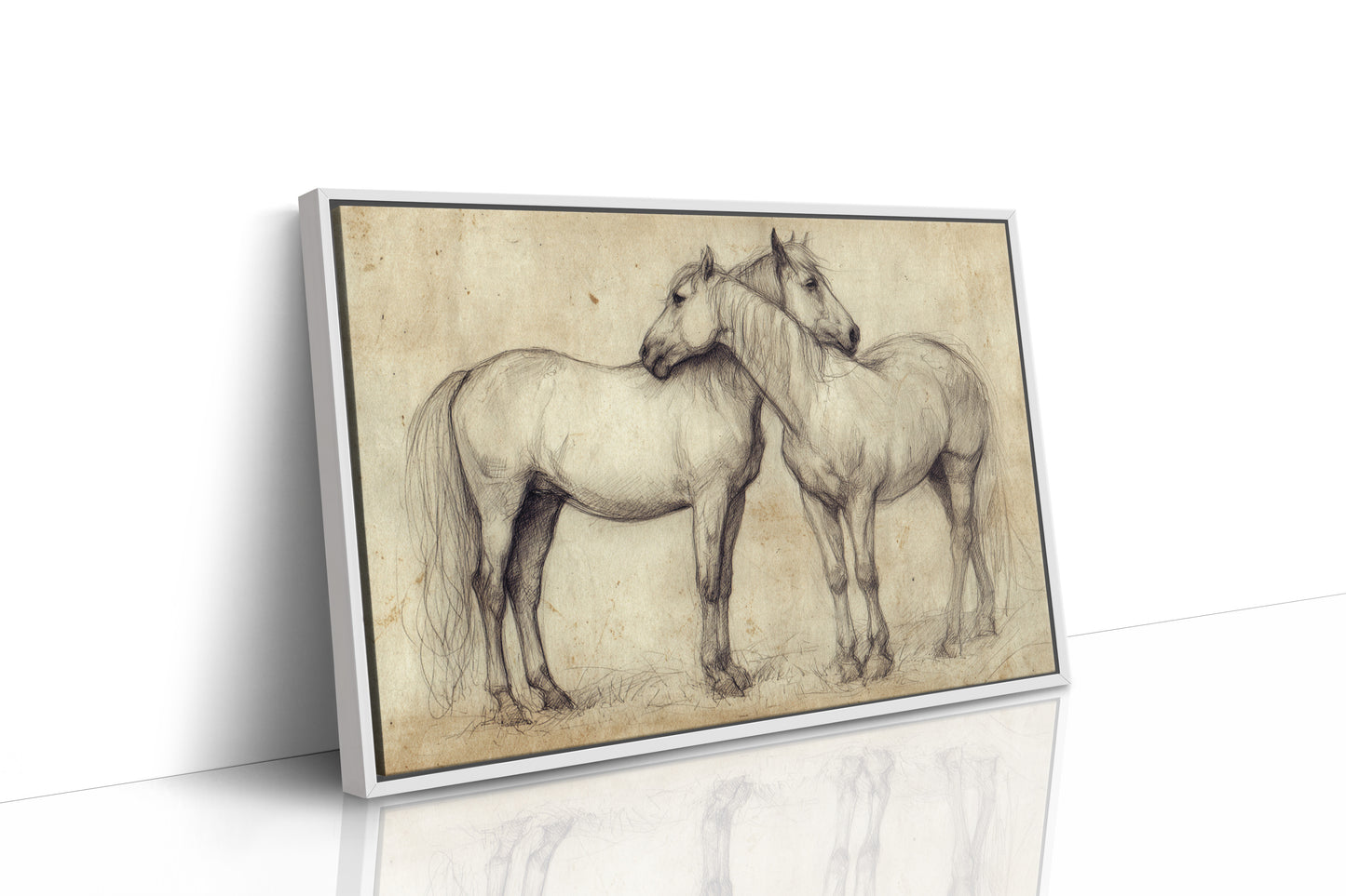 Equine Companionship Study