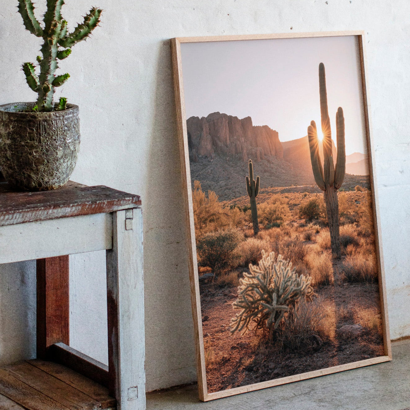 Sunlit Giants in Arid Embrace