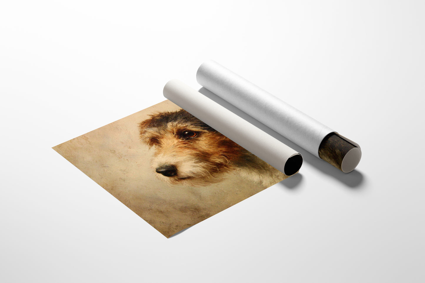 Faithful Eyes Hold Ancient Stories