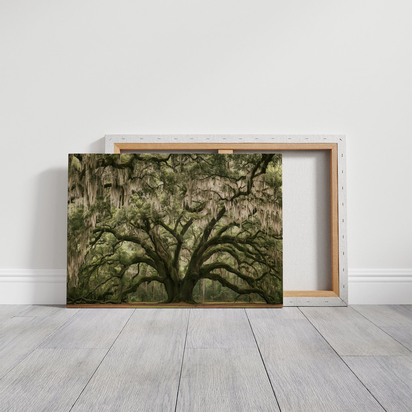 The Old Oak's Mossy Embrace