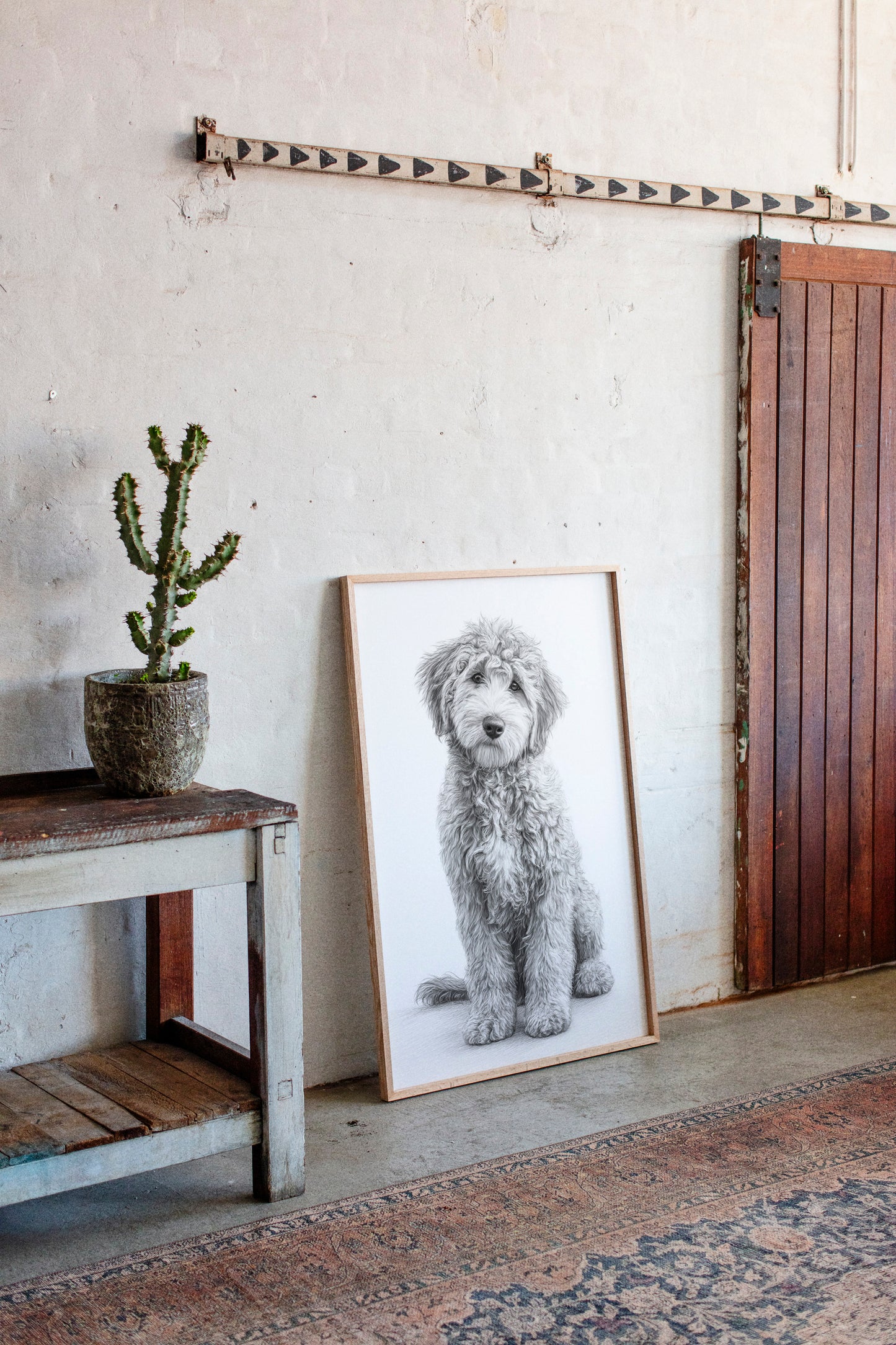 Curly Coat and Kind Eyes