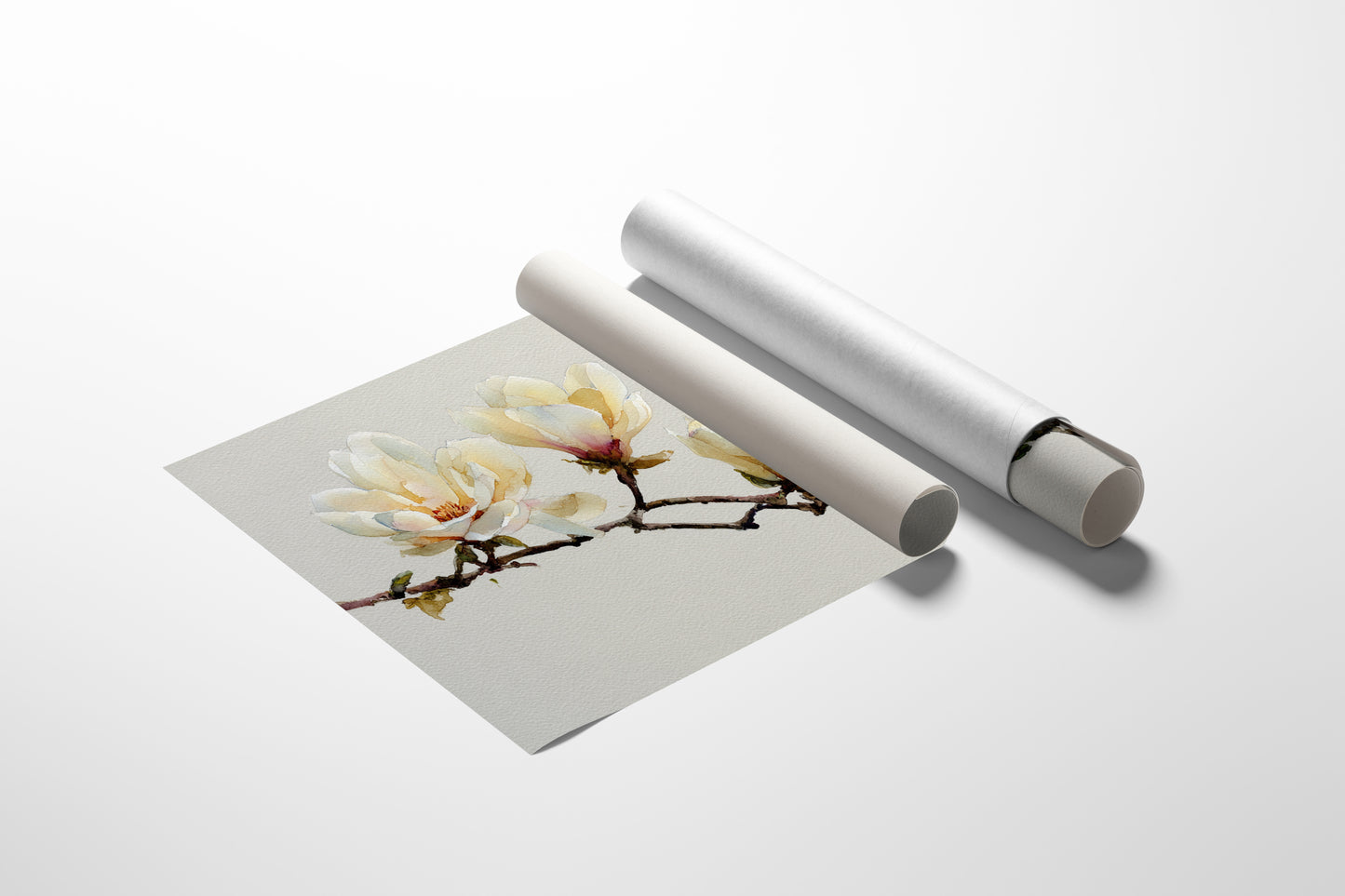 Magnolias Paint Their Morning Song