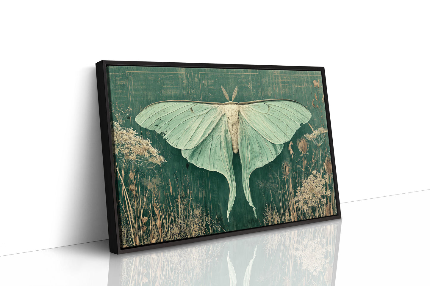 Luna Moth Among Wild Grasses