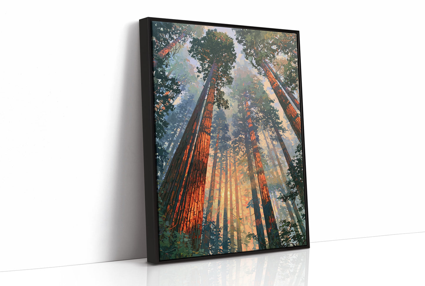 Canopy Ablaze With Light