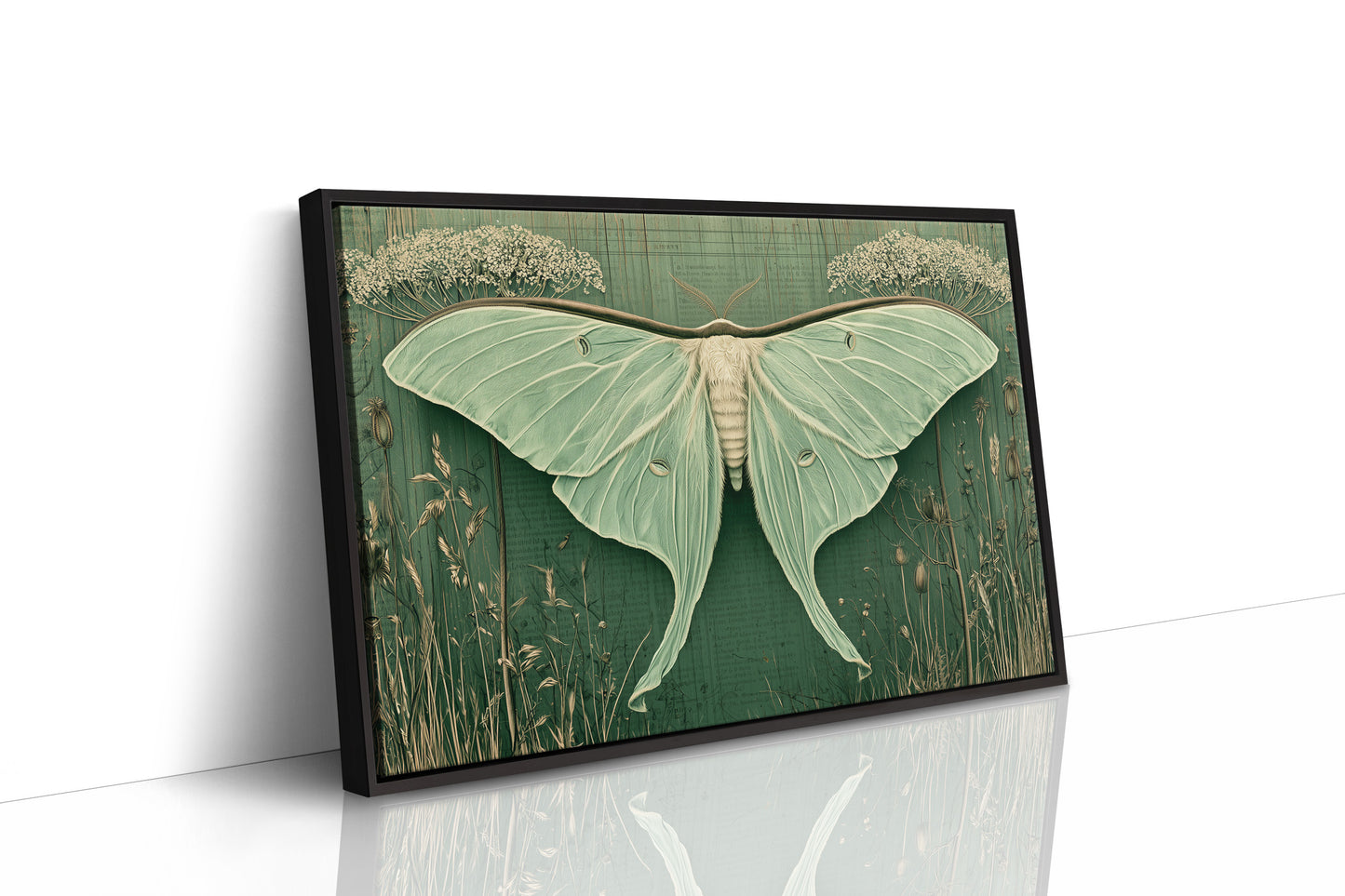 Luna Moth Ephemera
