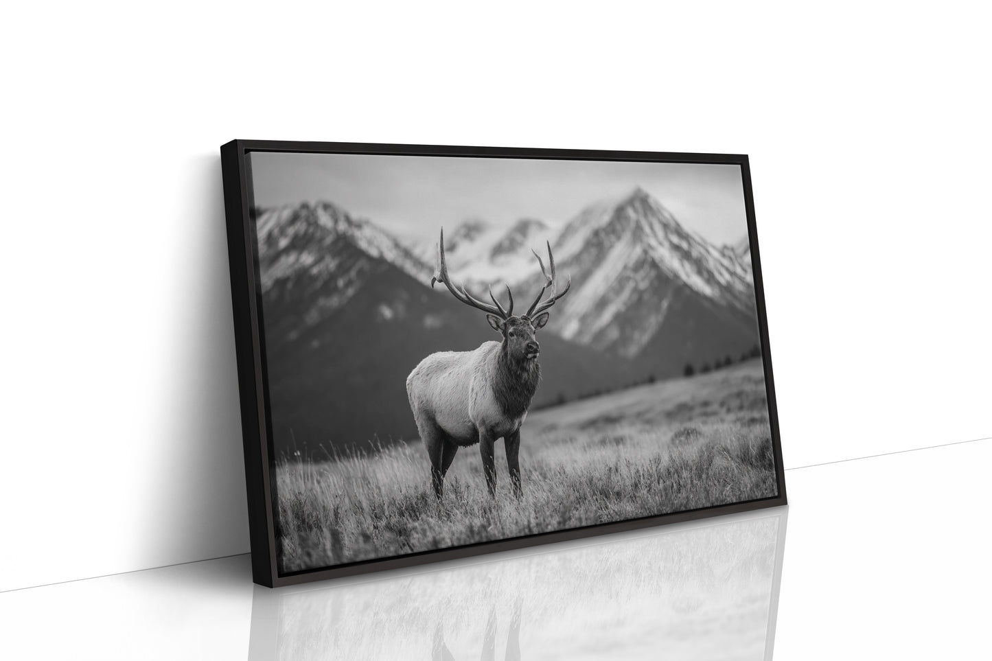 Crown of the Wilderness