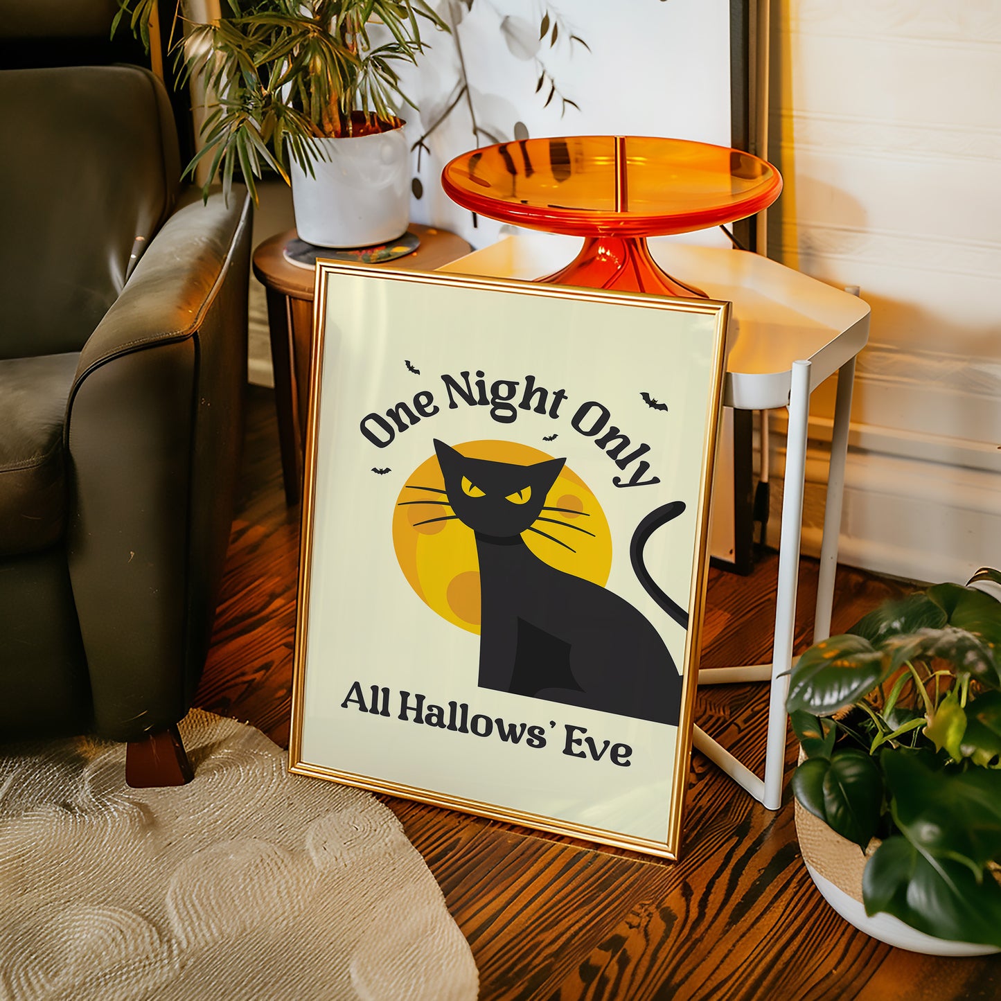 Moonlit Tales From A Black Cat