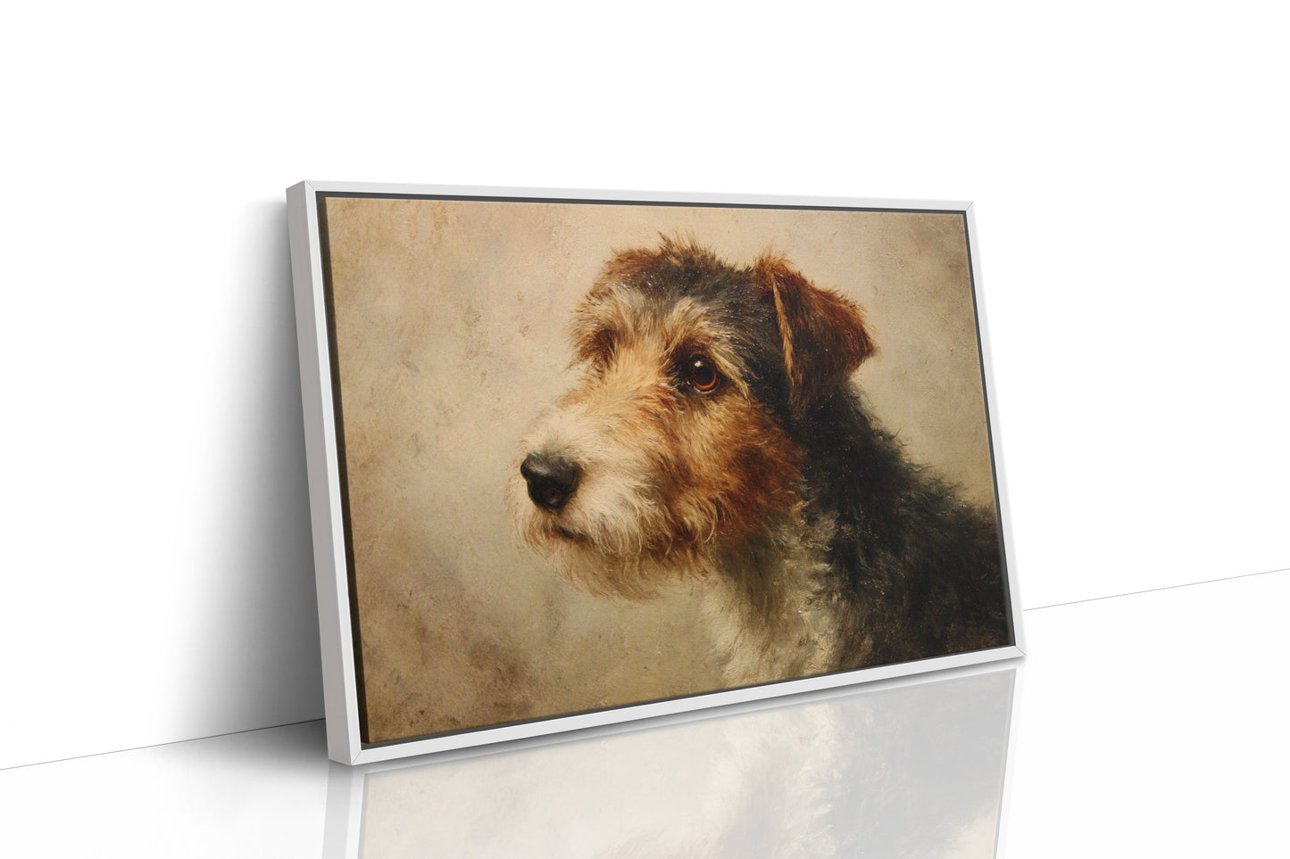 Faithful Eyes Hold Ancient Stories