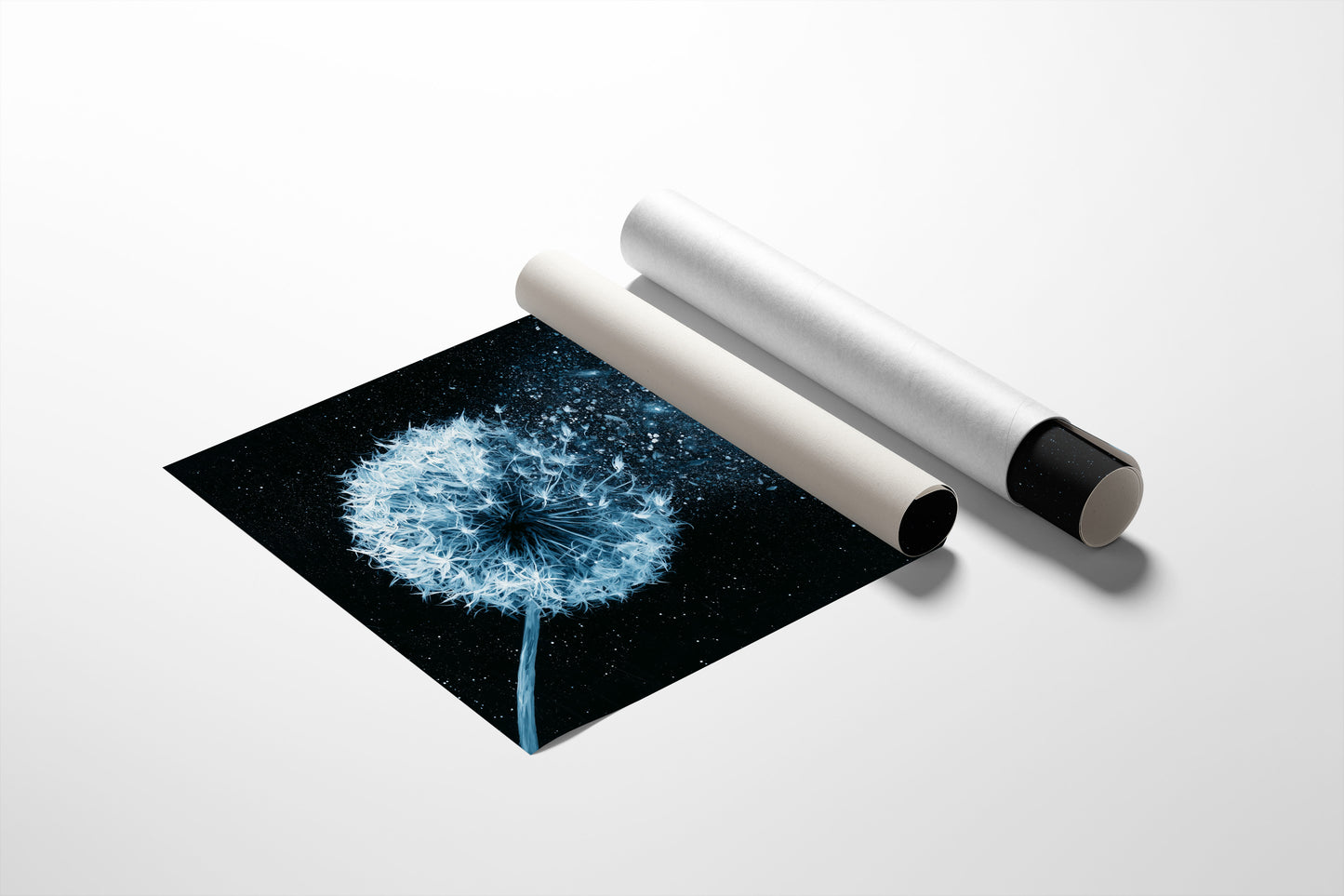 Dandelion Becomes Stardust