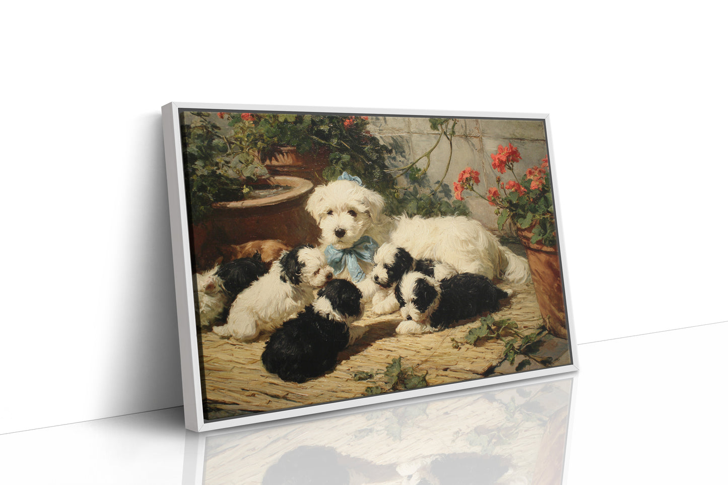 Puppies Rest Among Garden Geraniums