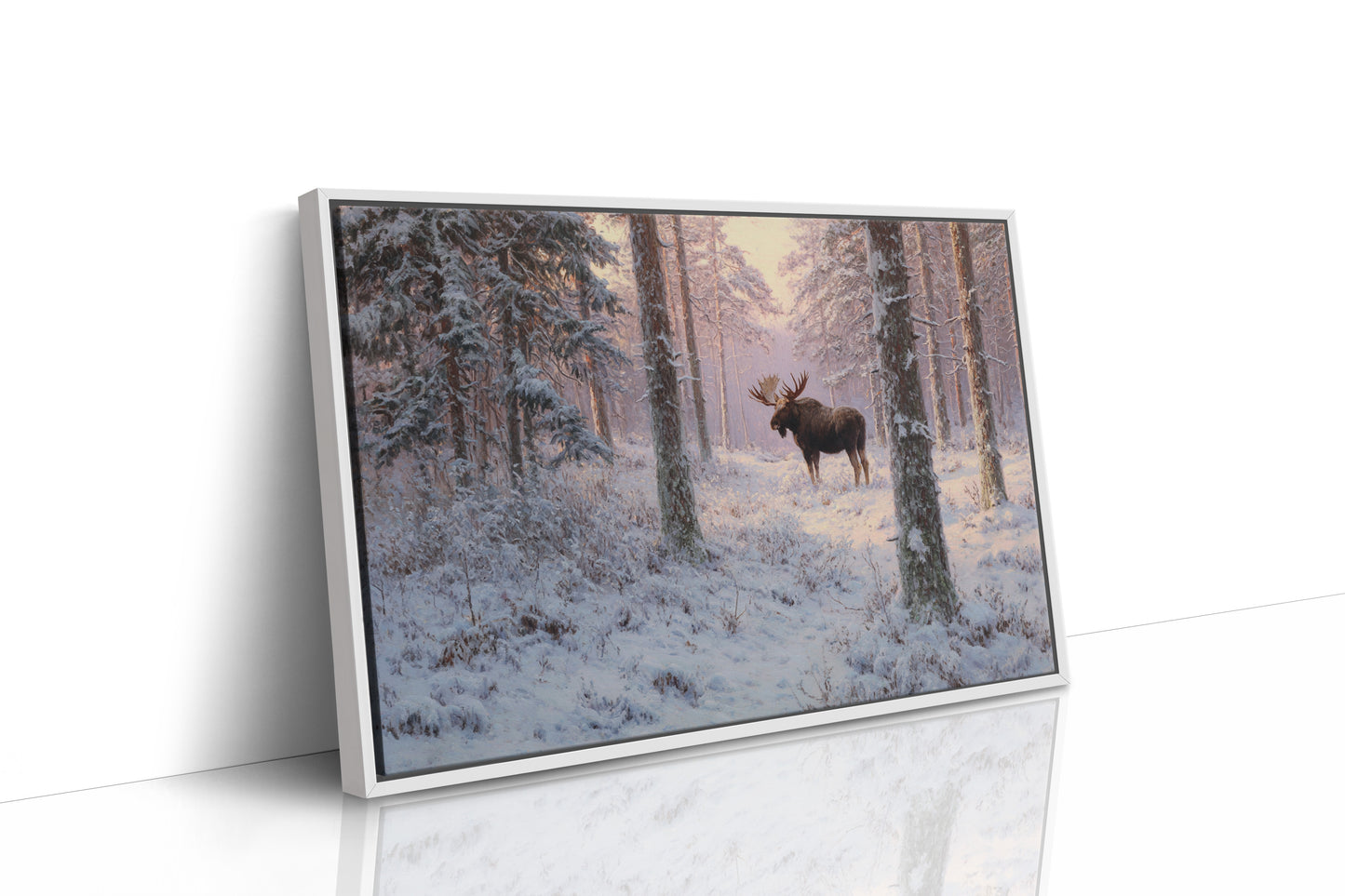 Winter's Light Finds Northern King