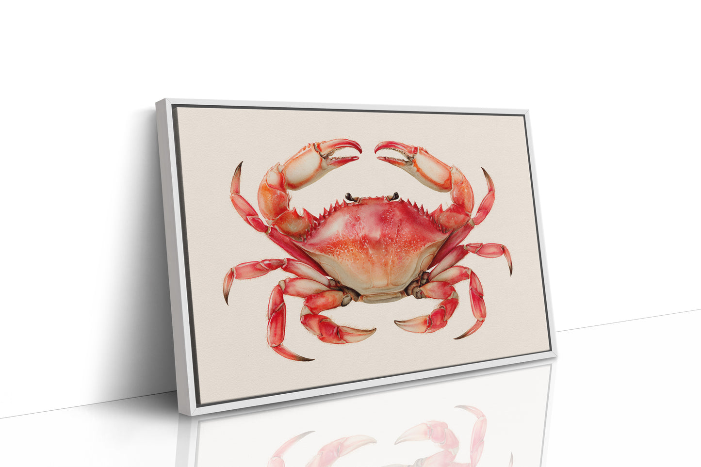 Coral Claws Catch Summer Light