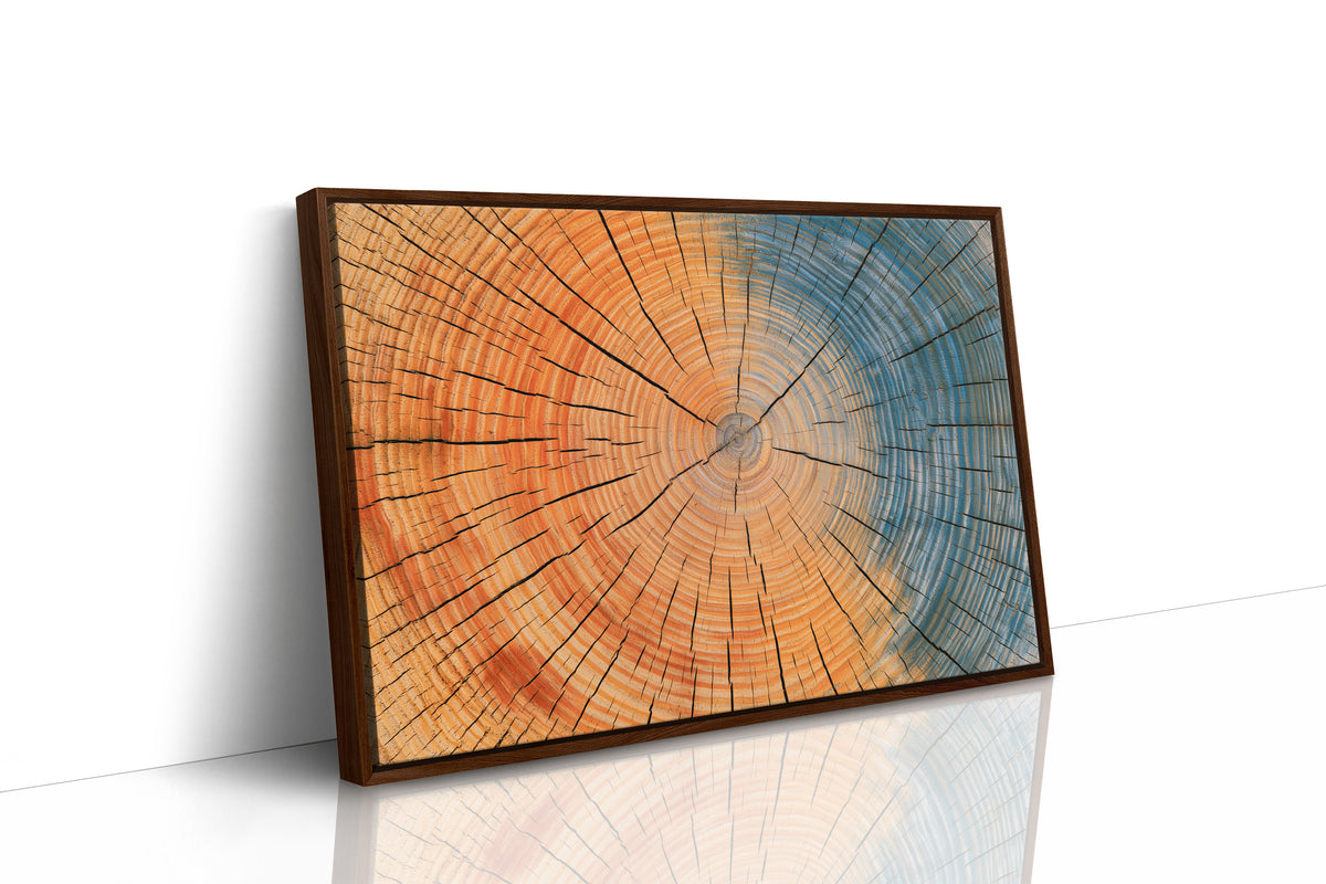 Tree Rings in Two Tones