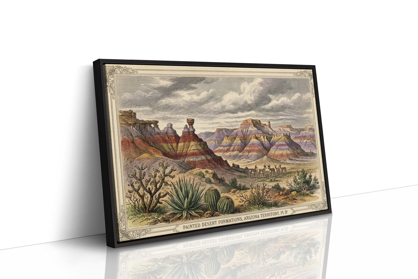 Painted Desert, Plate IV