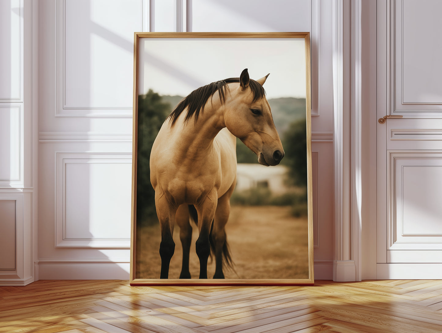 Buckskin Beauty in the Evening Light
