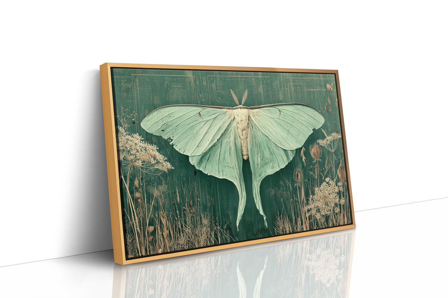 Luna Moth Among Wild Grasses
