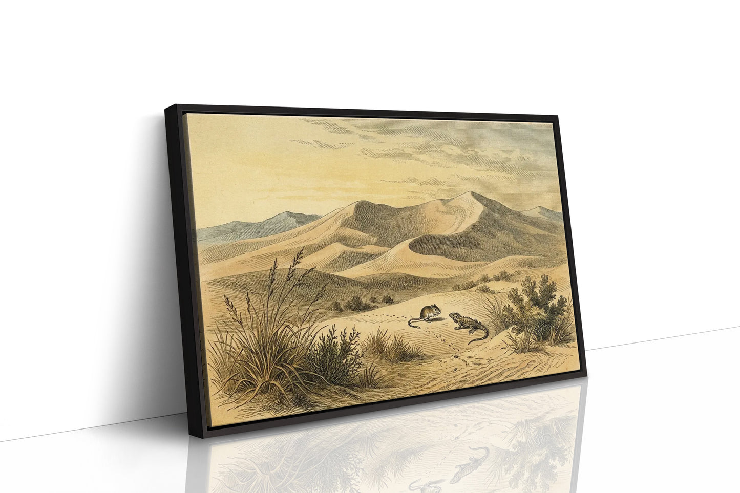 Kangaroo Rat and the Dune Lizard