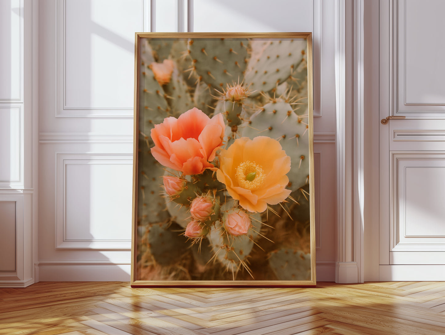 Blooming Cactus in Desert Light