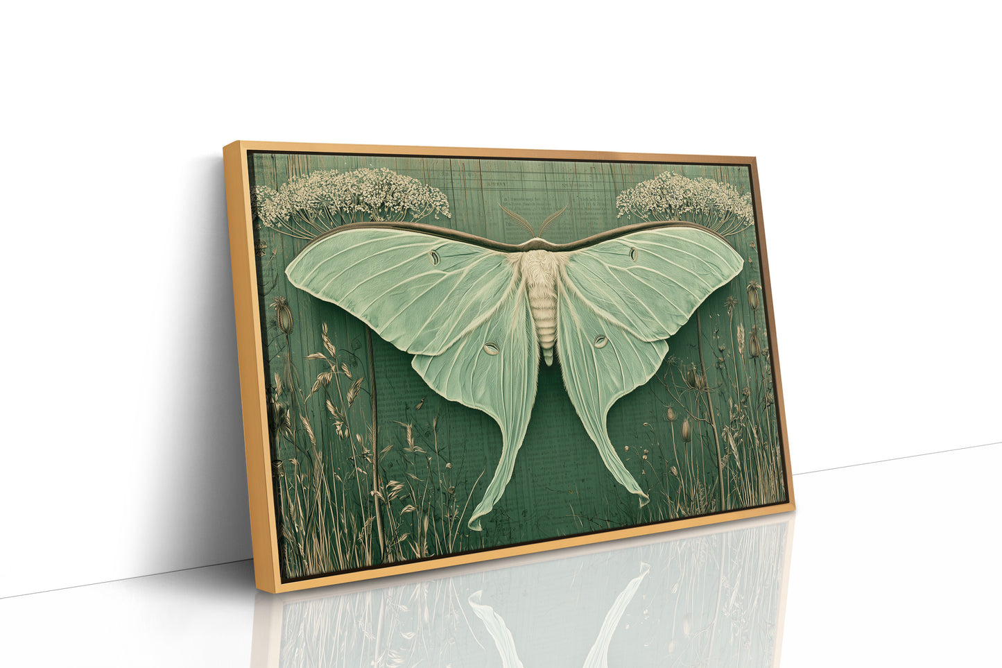 Luna Moth Ephemera
