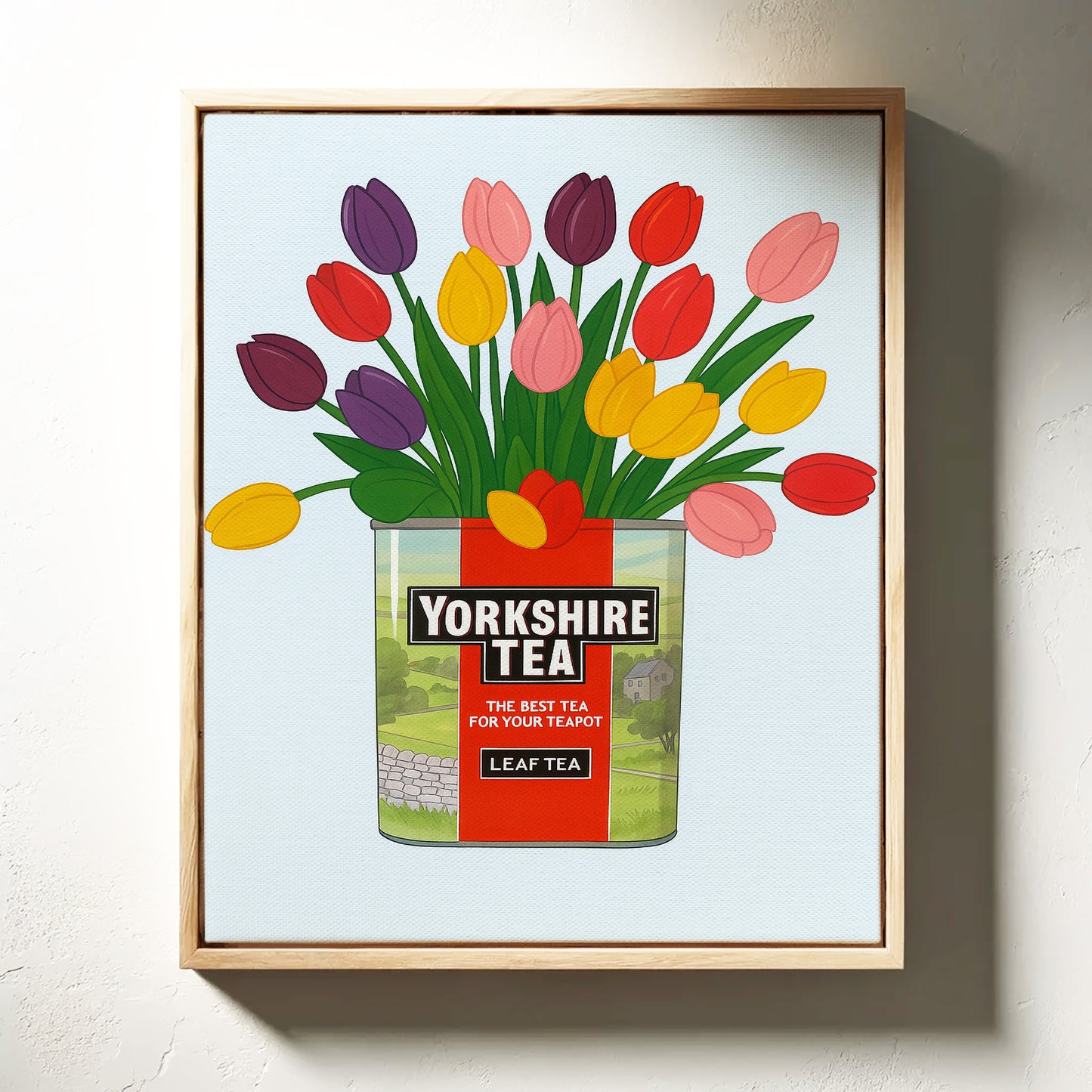 Tulips in a Yorkshire Tea Tin