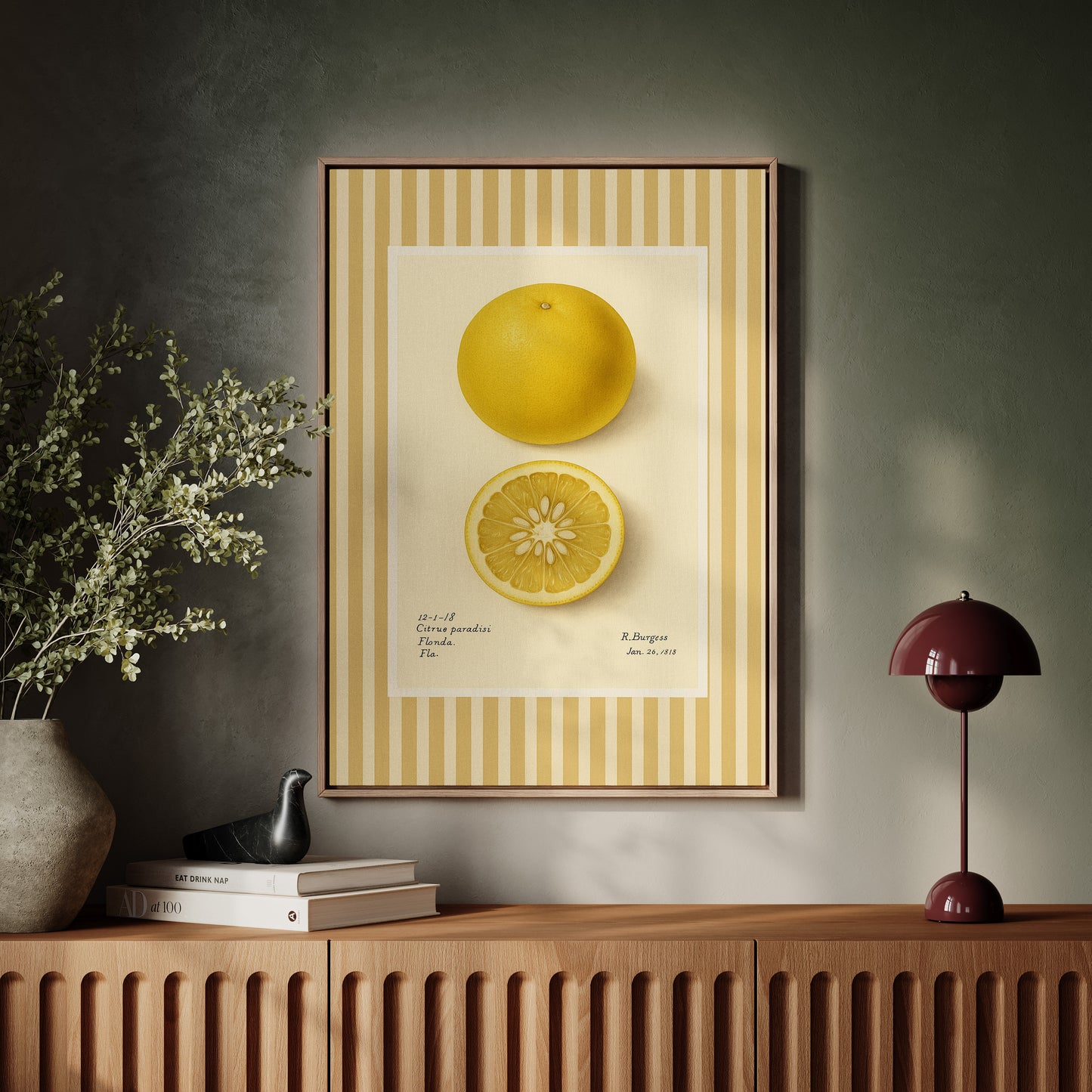 Florida Grapefruit Vintage Botanical Art