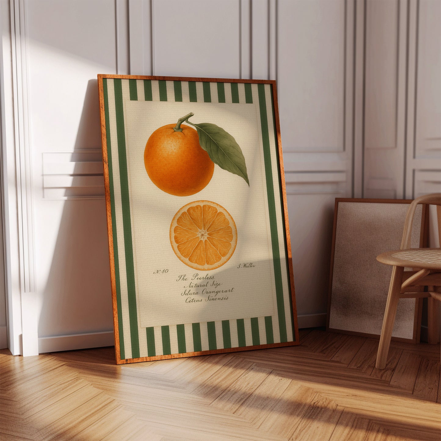 Vintage Orange Slice Botanical Study