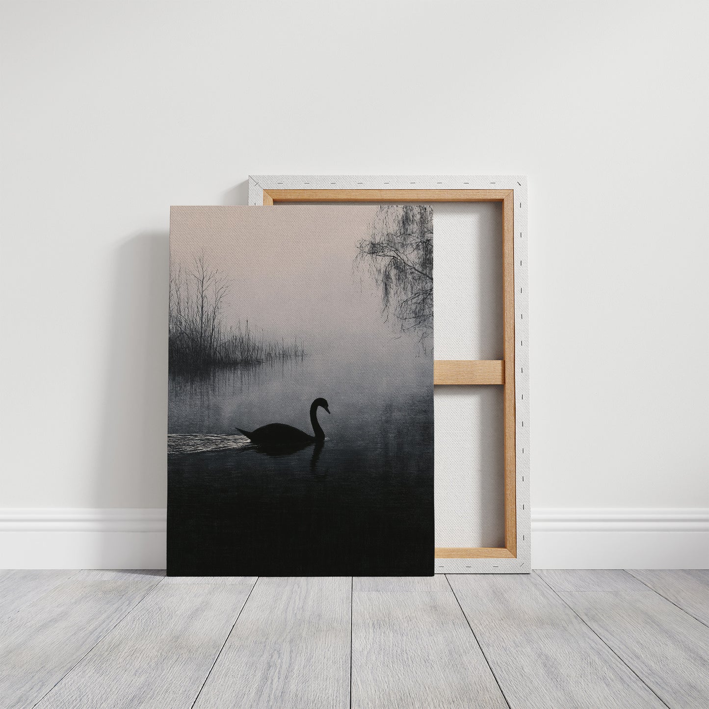 Black Swan on Silent Water